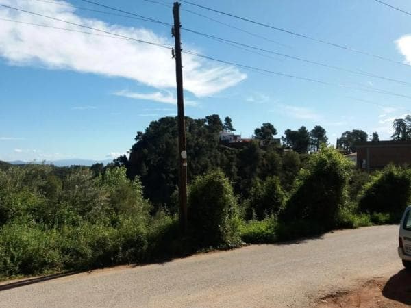 Terreno en camino Ral photo 3