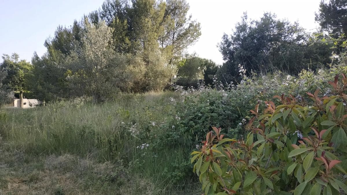 Terreno en venta en Collbató, Barcelona photo 2