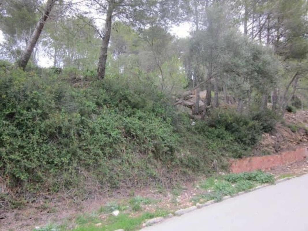 Terreno en venta en Vallirana, Barcelona photo 4