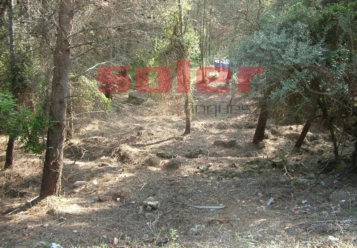 Terreno en venta en La Palma de Cervelló, Barcelona photo 5