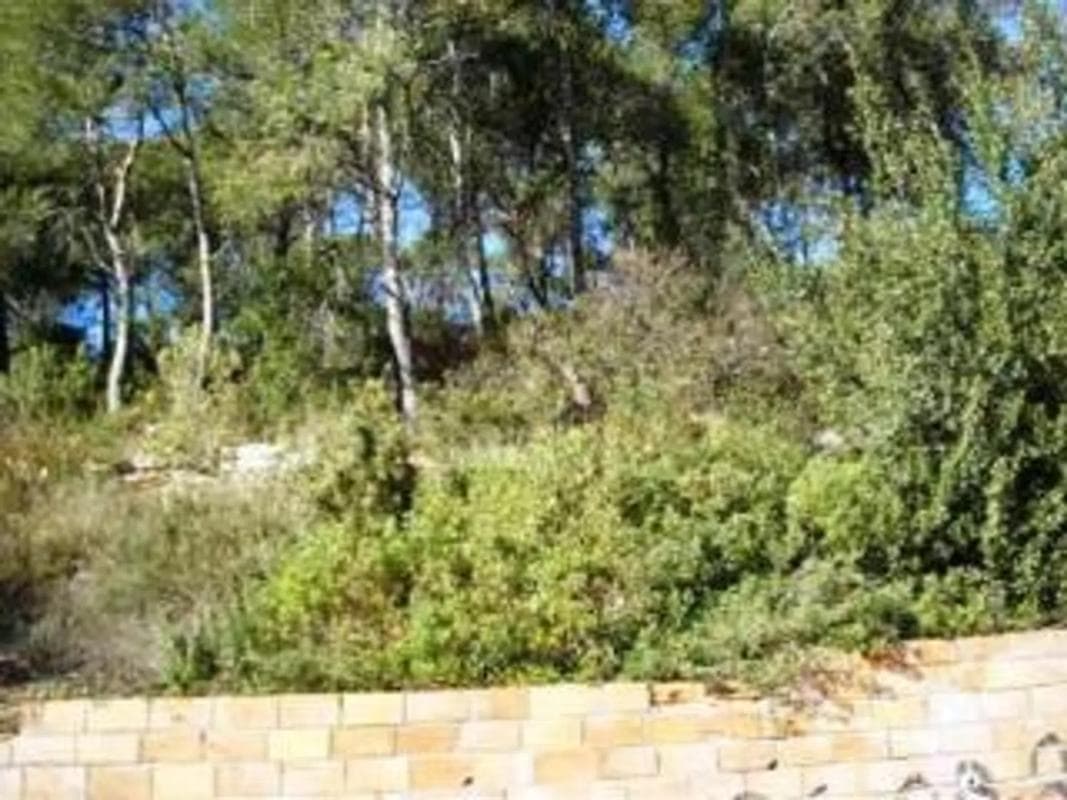 Terreno en venta en Vallirana, Barcelona photo 3