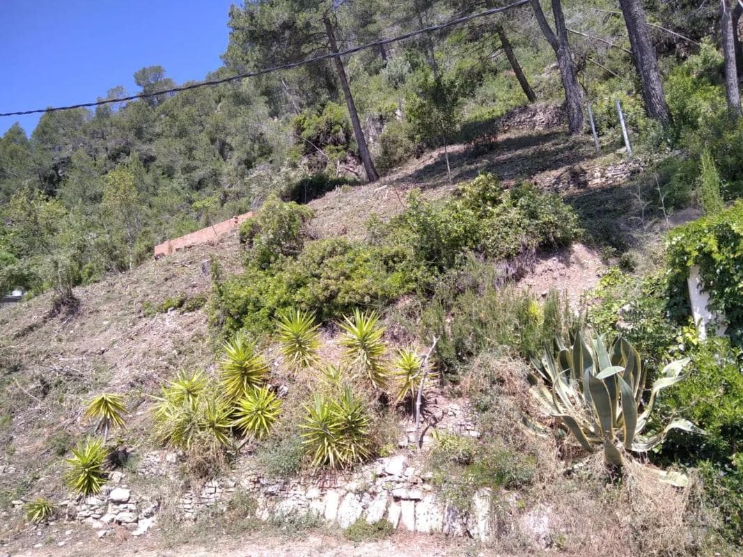 Terreno en venta en Vallirana, Barcelona photo 4