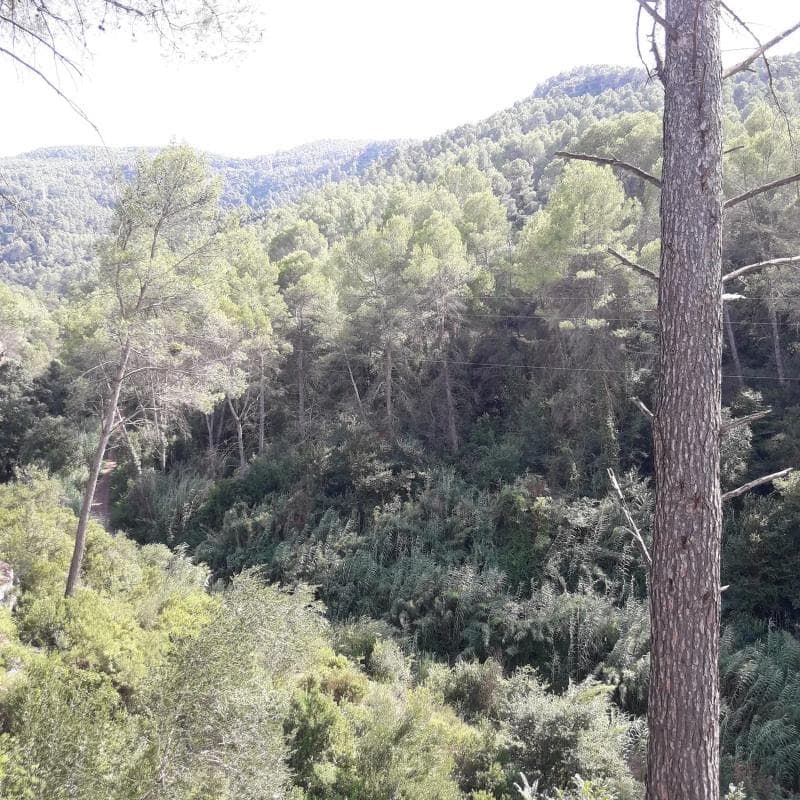 Terreno en venta en Castellví de Rosanes, Barcelona photo 3