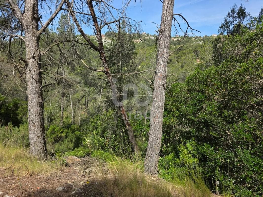 Terreno en venta en Olesa de Bonesvalls, Barcelona photo 5