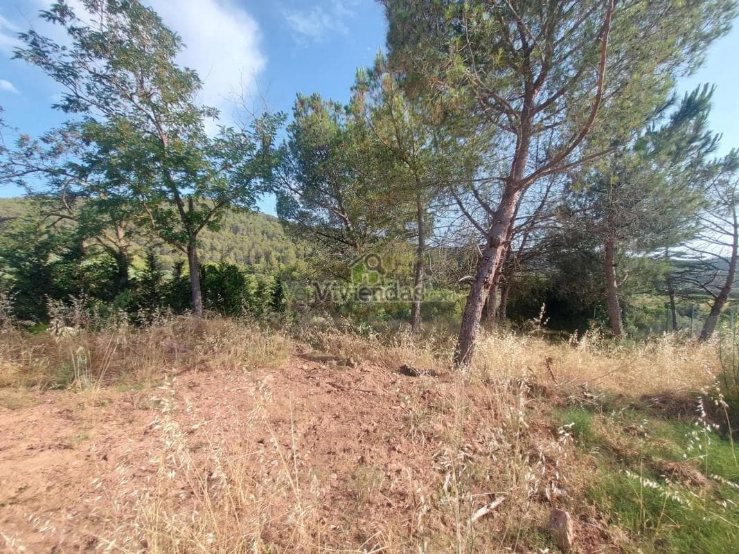 Terreno en venta en Olesa de Bonesvalls, Barcelona photo 3