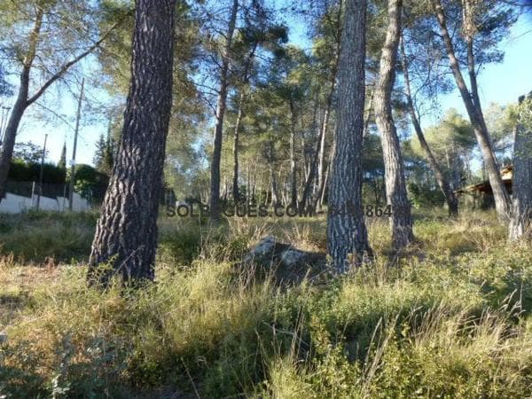 Terreno en Olesa de Bonesvalls thumbnail 2