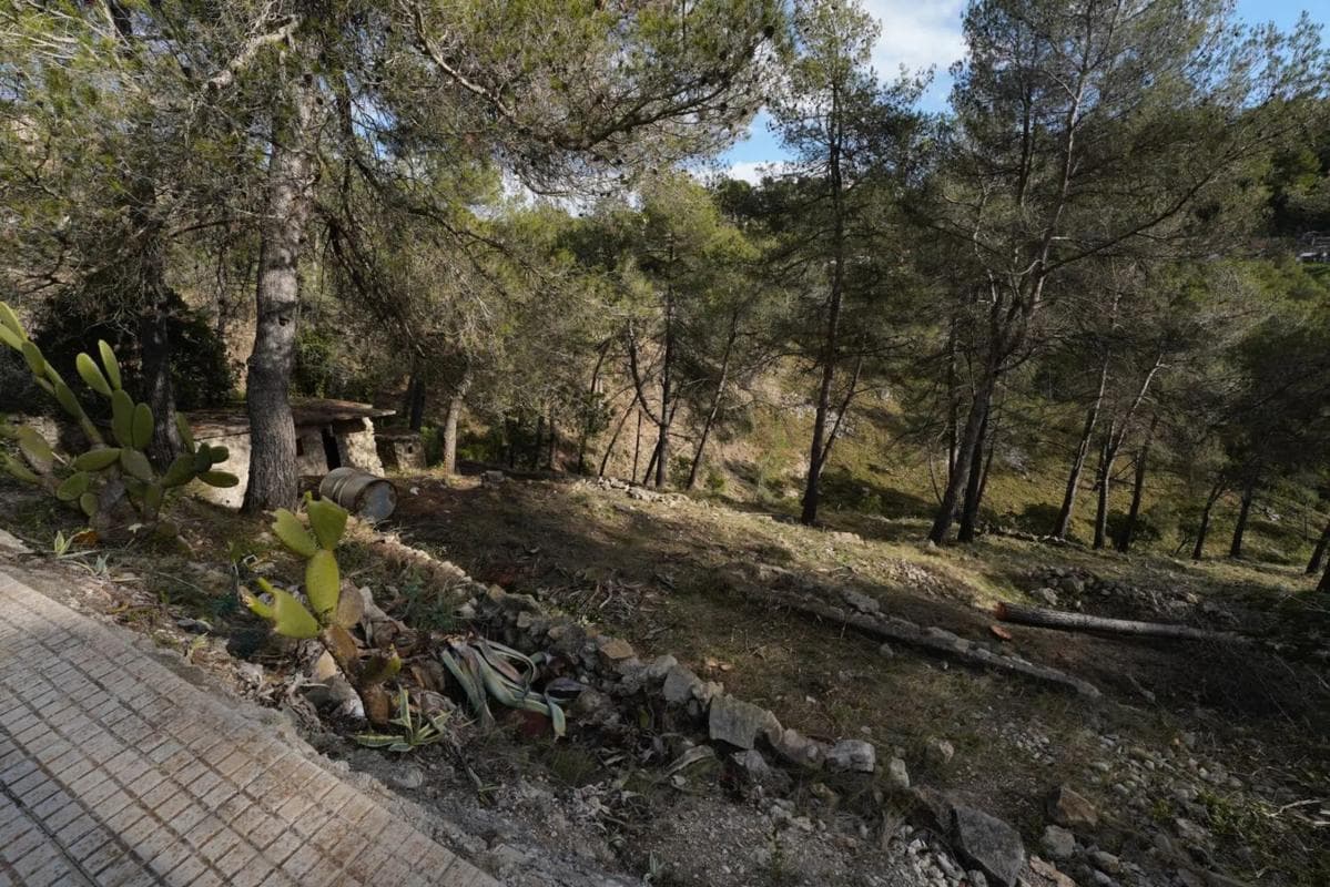 Property photo 5