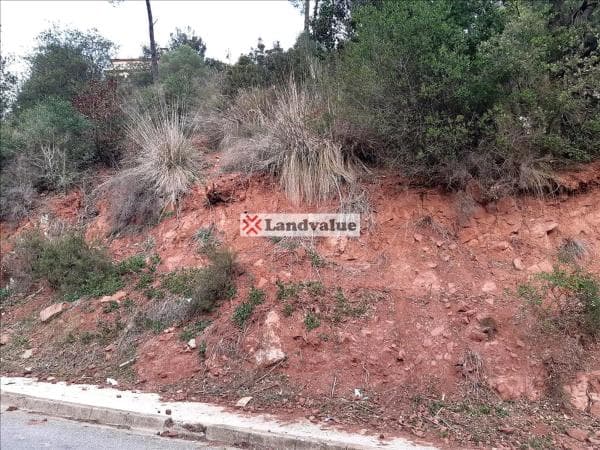 Terreno en calle 24 s/n photo 1