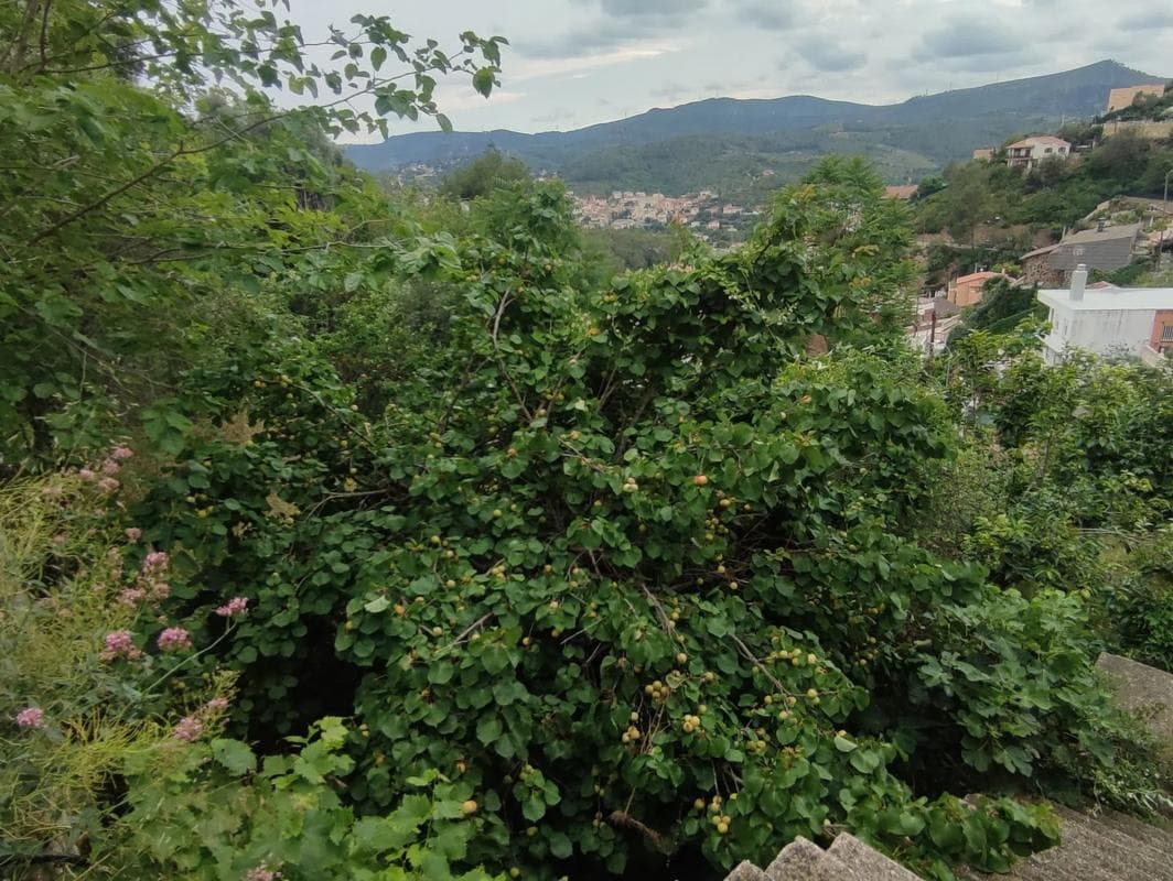 Terreno en venta en Torrelles de Llobregat, Barcelona photo 4