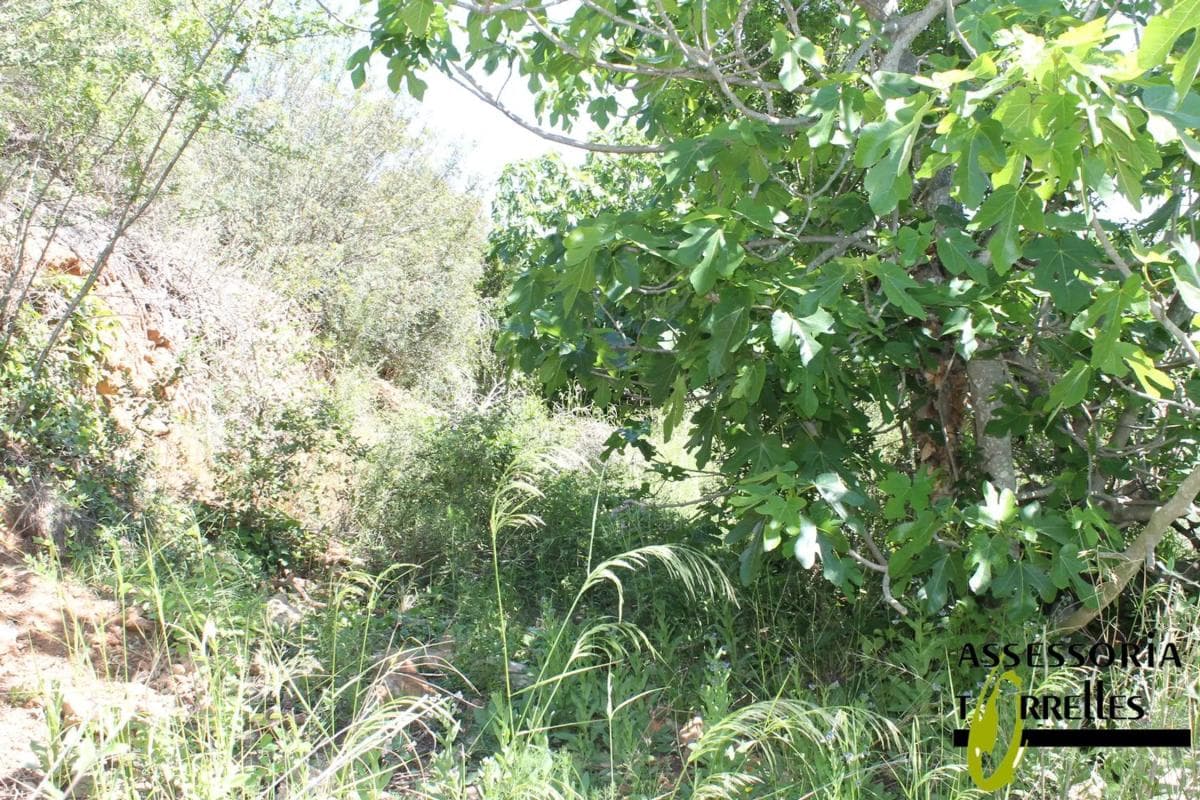 Terreno en venta en Torrelles de Llobregat, Barcelona photo 3