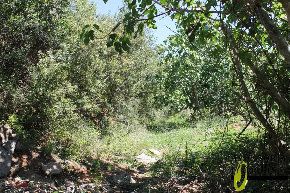 Terreno en venta en Torrelles de Llobregat, Barcelona photo 4