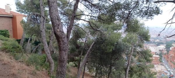 Terreno en carretera de las Aguas, 396 thumbnail 1