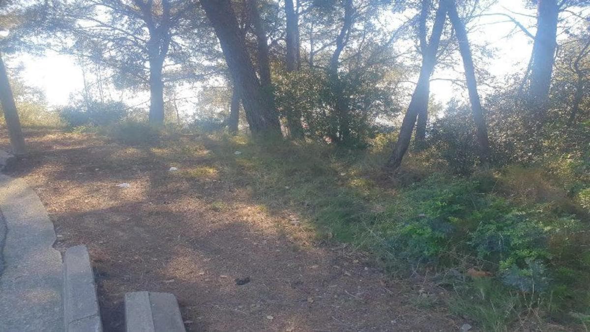 Terreno en venta en Santa Coloma de Gramenet, Barcelona photo 4
