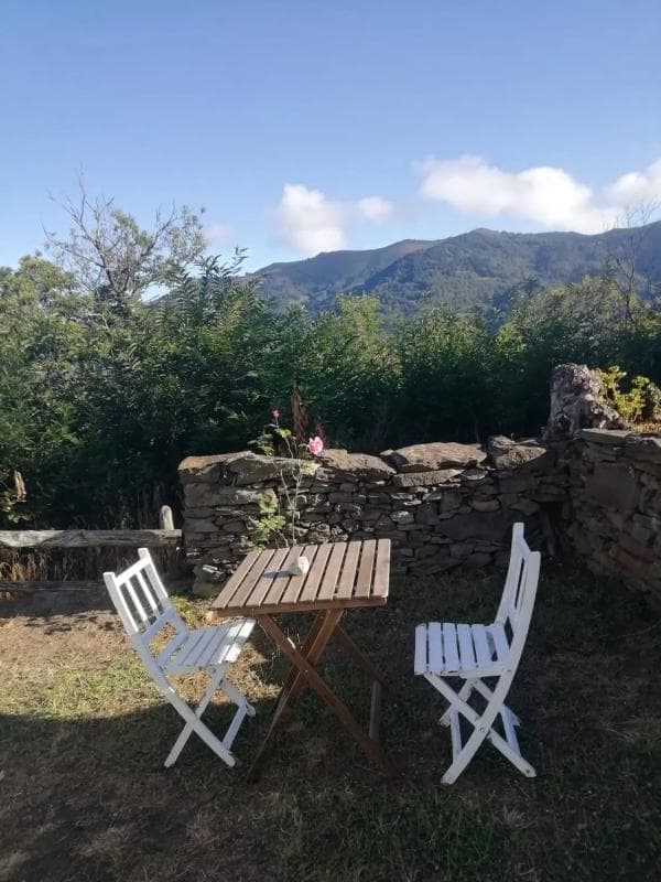 Propiedades en venta y alquiler en España photo 3