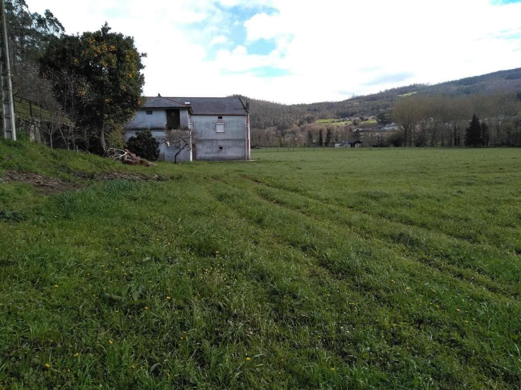 Venta de finca rústica en Barrio Vegas, 26 , San Tirso de Abres photo 4