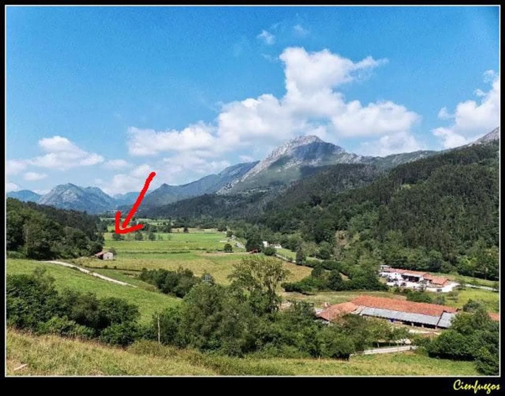 Propiedades en venta y alquiler en España photo 3