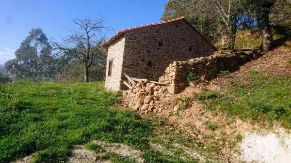 Finca rustykalna na sprzedaż w AS-259 s/n , Piloña photo 1