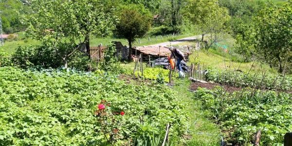 Casa independiente en Lugar San martin de Grazanes, 23, Mestas s/n thumbnail 2