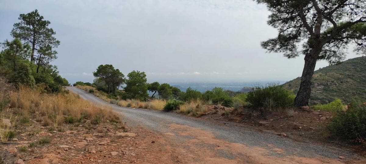 Terreno en venta en Segart, Valencia photo 2