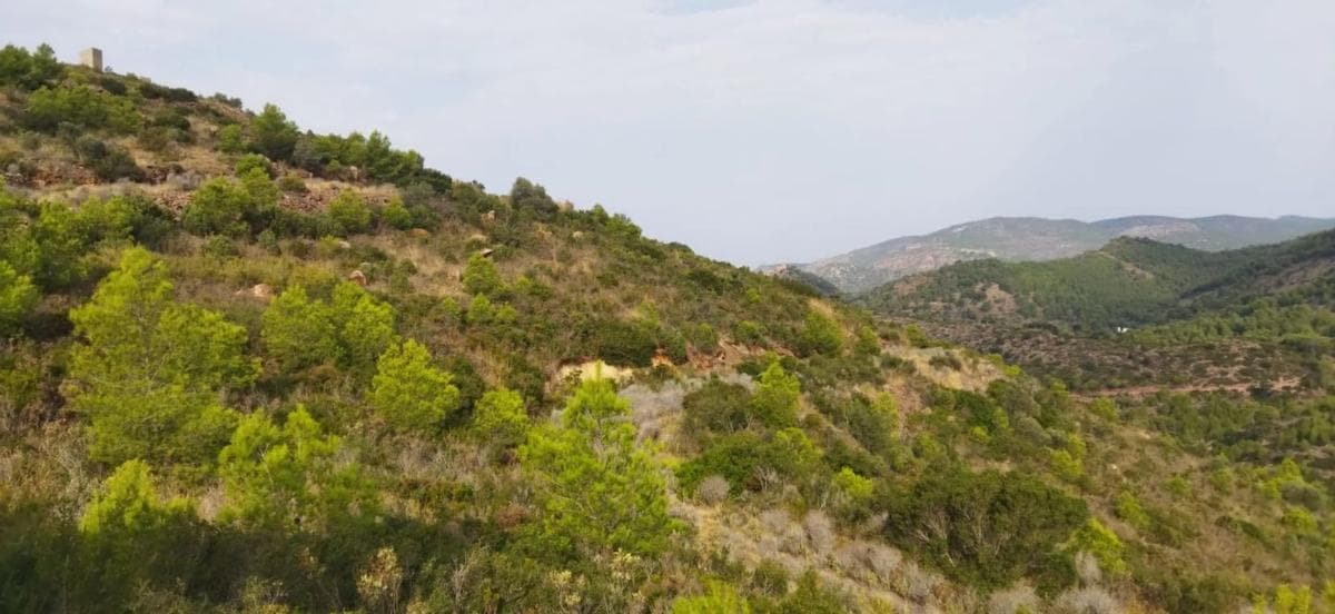Terreno en venta en Segart, Valencia photo 4