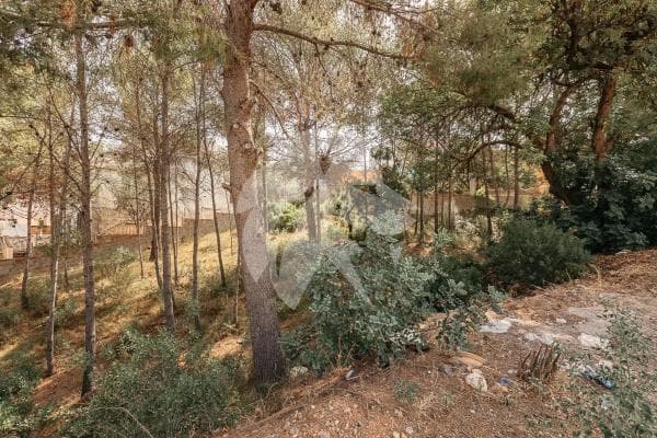 Terreno en Gilet photo 2