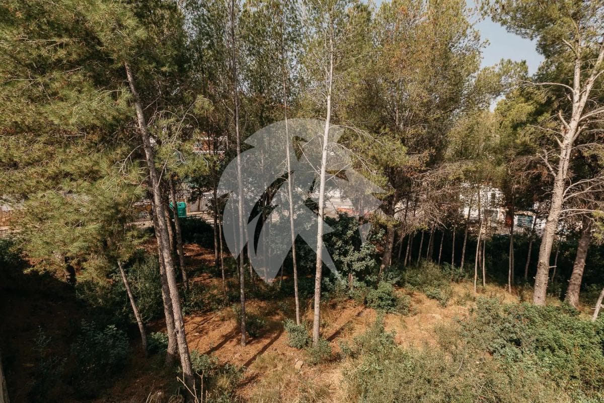 Terreno en venta en Gilet, Valencia photo 5