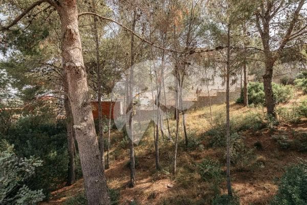 Terreno en Gilet photo 3