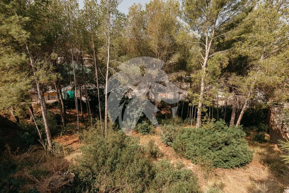 Terreno en venta en Gilet, Valencia photo 4