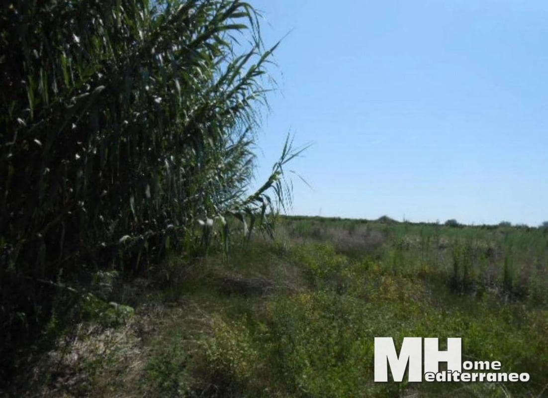 Terreno en venta en Sagunto/Sagunt, Valencia photo 3