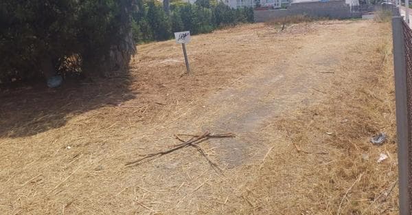 Terreno en Almardá photo