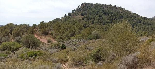 Terreno en montaña redona, 2 thumbnail 2