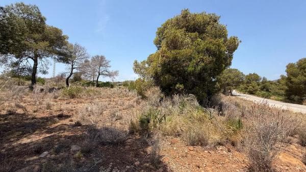 Terreno en plaza del Cronista Chabret thumbnail 2