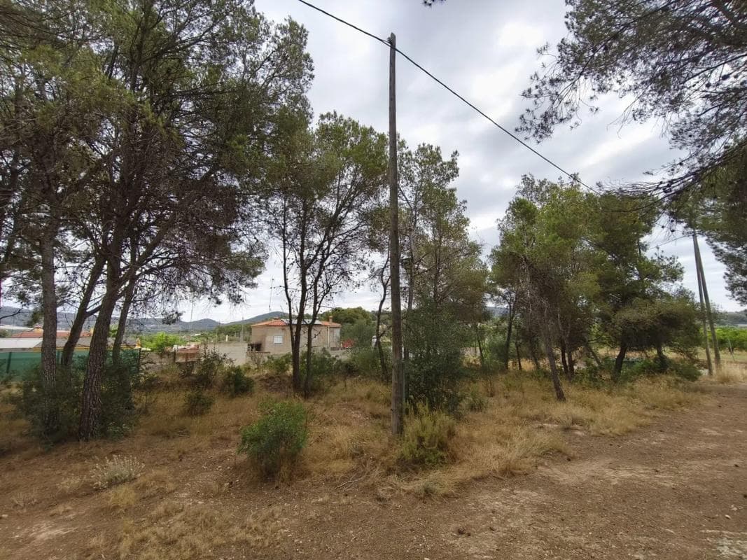 Terreno en venta en Sagunto/Sagunt, Valencia photo 2