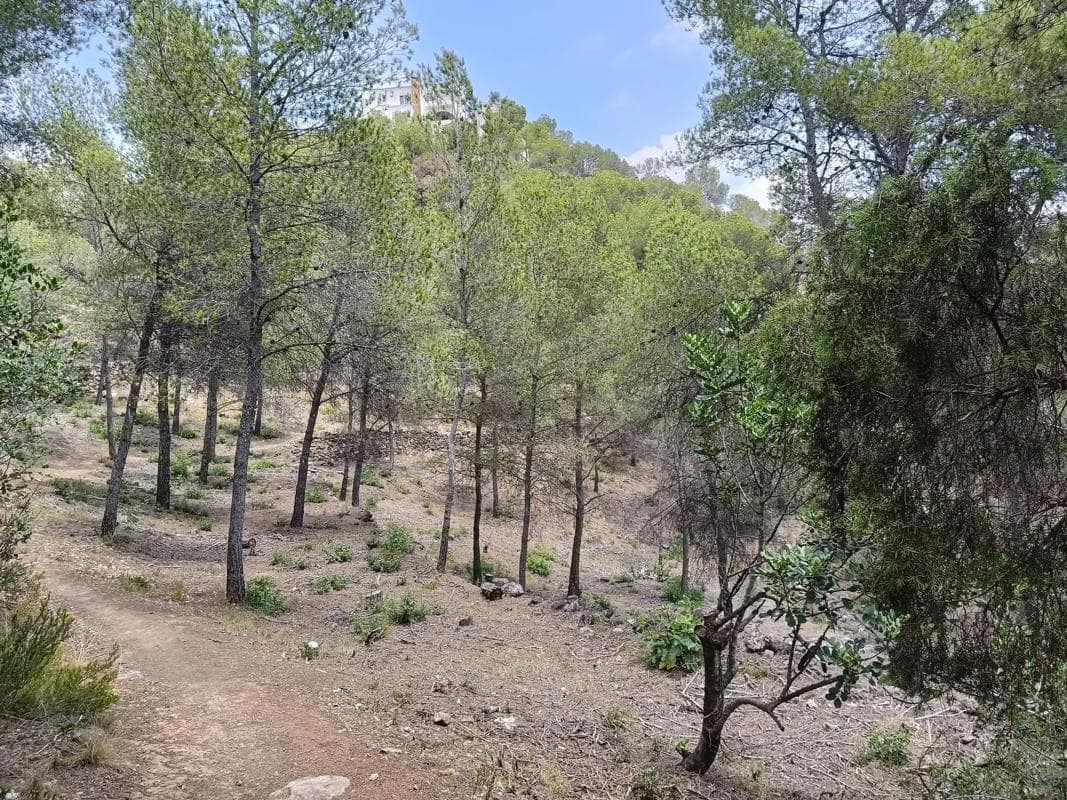 Terreno en venta en Gilet, Valencia photo 2