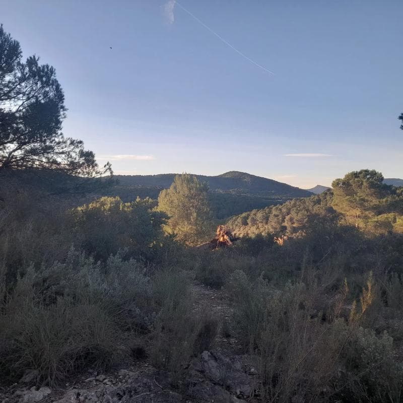 Terreno en venta en Quart de les Valls, Valencia photo 3