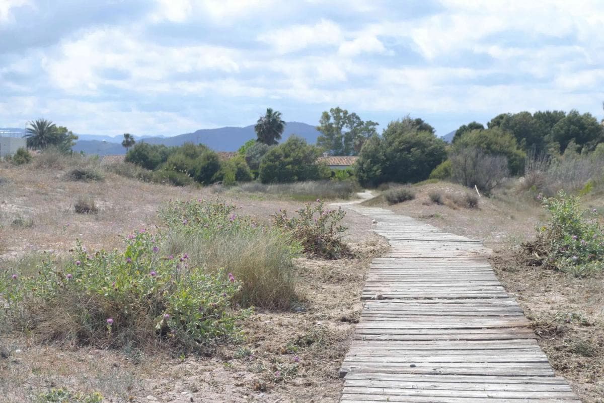 Terreno en venta en Sagunto/Sagunt, Valencia photo 4