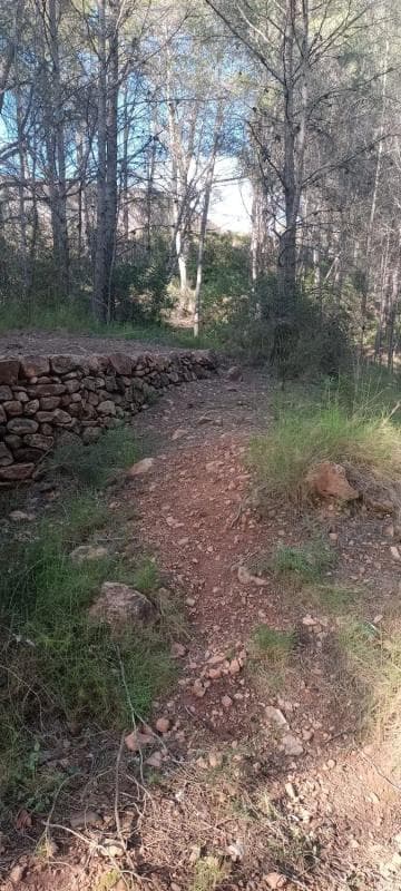 Terreno en venta en Gilet, Valencia photo 4