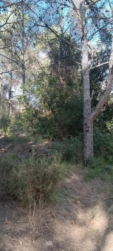 Terreno en venta en Gilet, Valencia photo 5