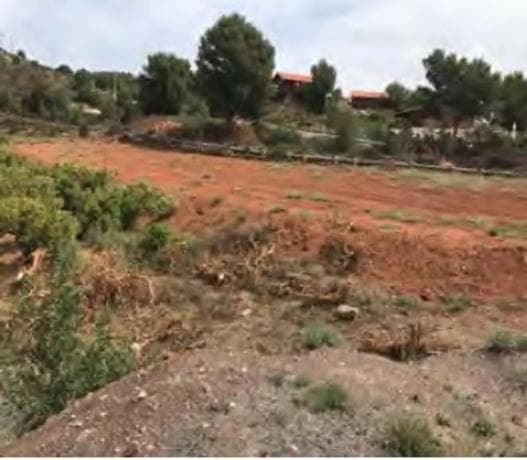 Terreno en Paraje de la Baseta s/n thumbnail 2