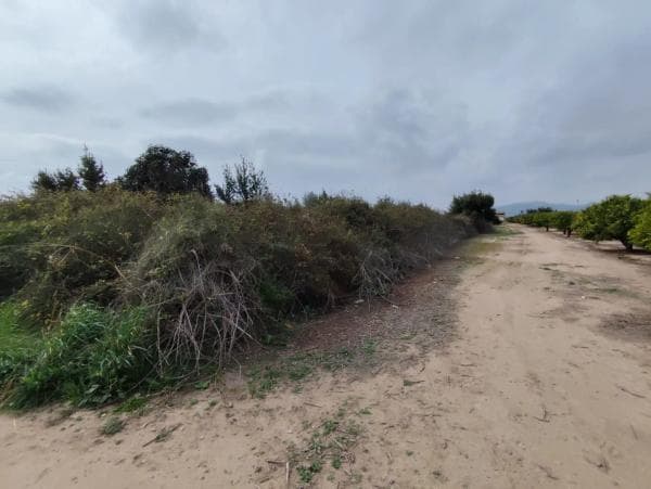 Terreno en avenida de Montiber, 1 thumbnail 2
