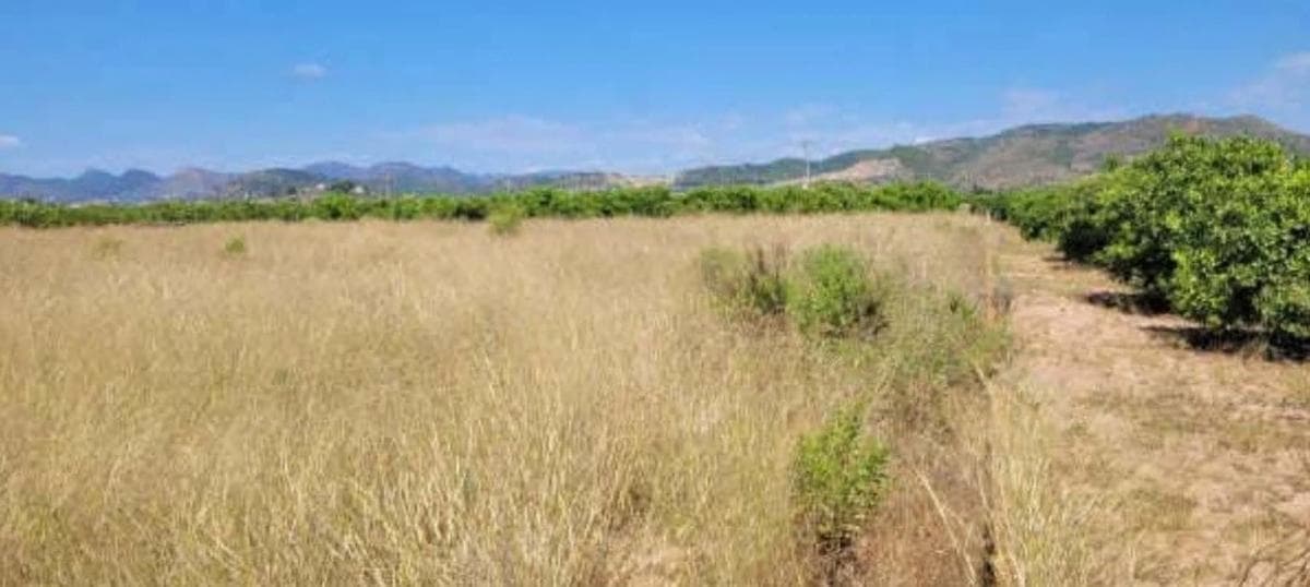 Terreno en venta en Sagunto/Sagunt, Valencia photo 3