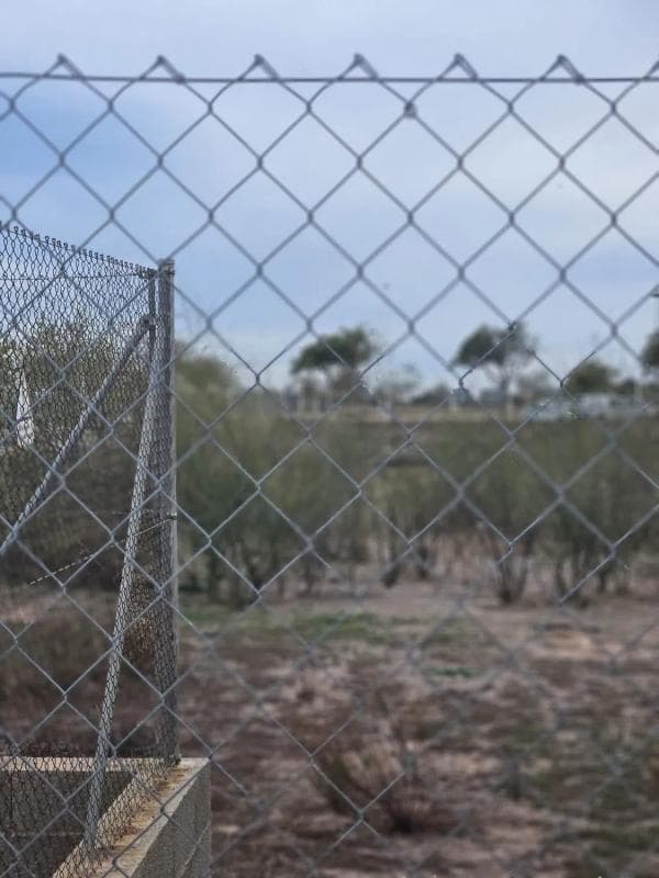 Terreno en venta en Sagunto/Sagunt, Valencia photo 2