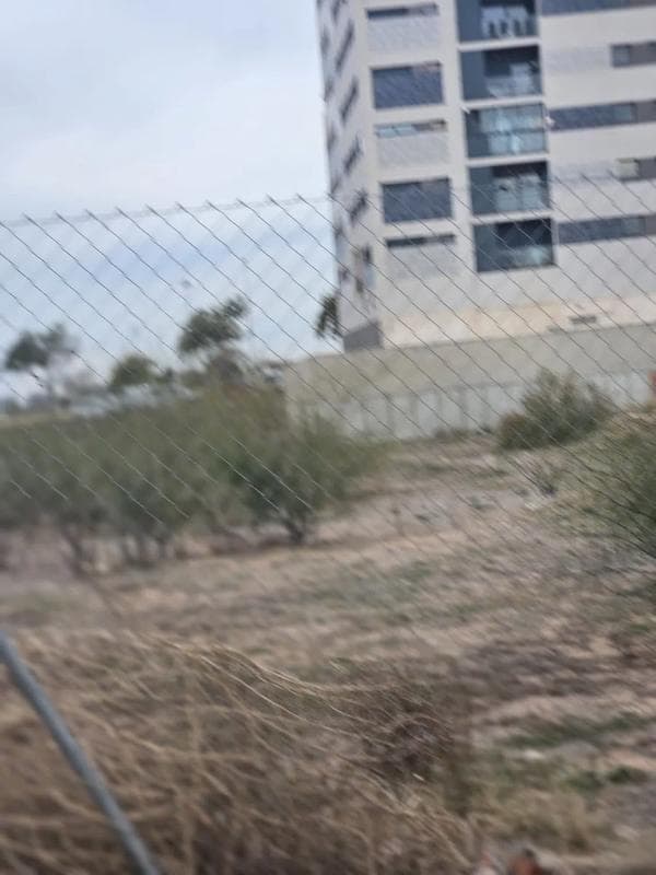 Terreno en venta en Sagunto/Sagunt, Valencia photo 4