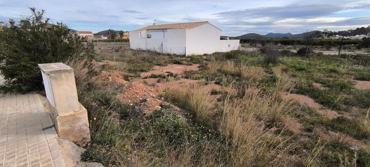 Terreno en venta en Algimia de Alfara, Valencia photo 5