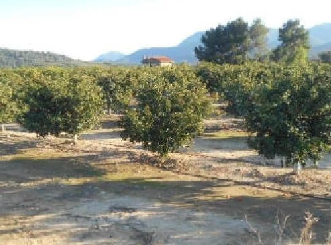 Terreno en venta en Algimia de Alfara, Valencia photo 4