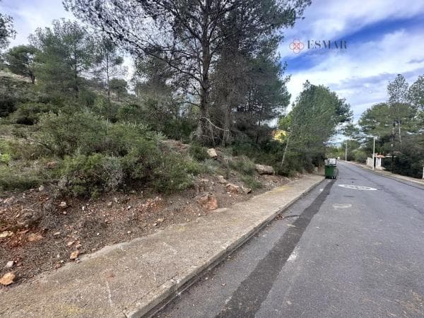 Terreno en Algar de Palancia photo 1