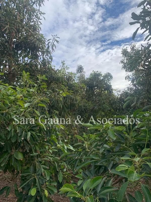 Terreno en venta en Sagunto/Sagunt, Valencia photo 2