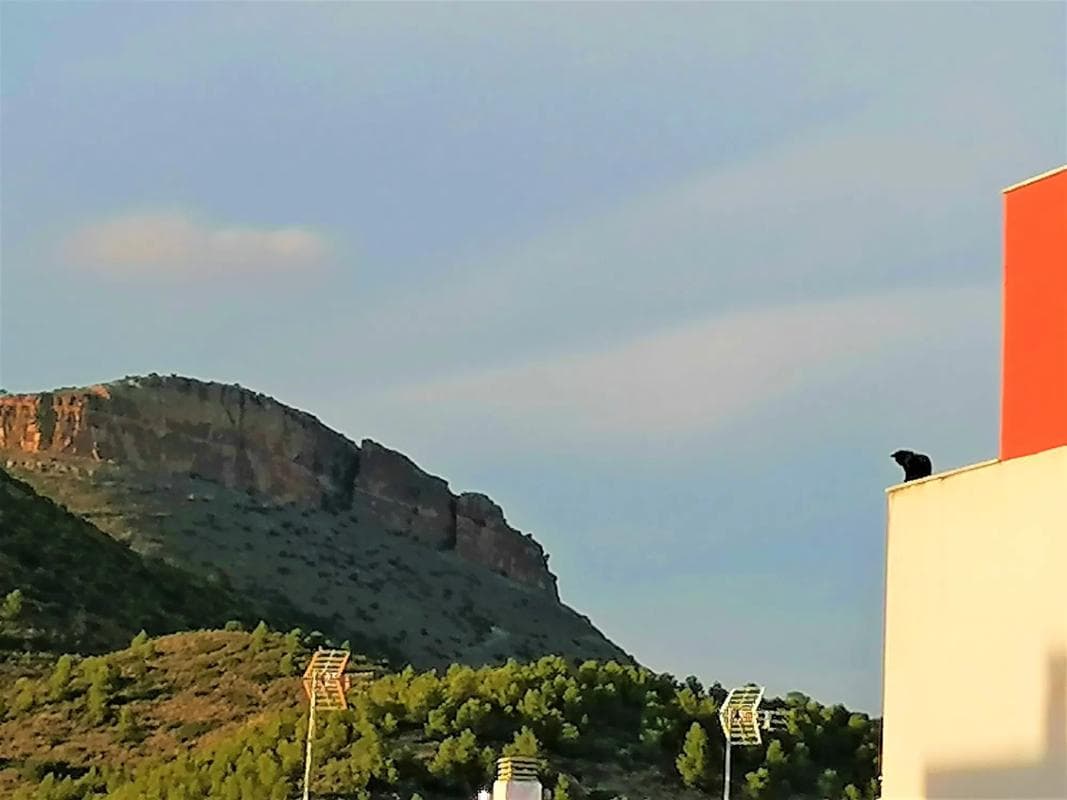 Terreno en venta en Gilet, Valencia photo 5