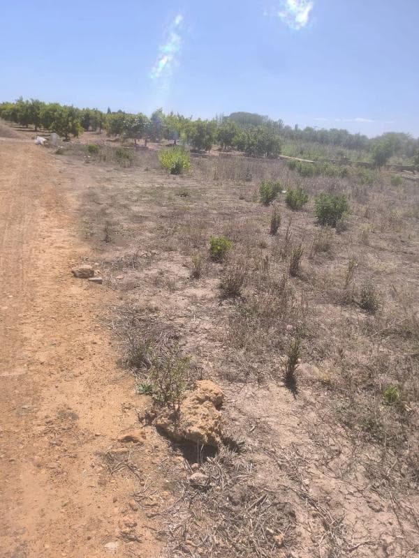Terreno en venta en Sagunto/Sagunt, Valencia photo 5