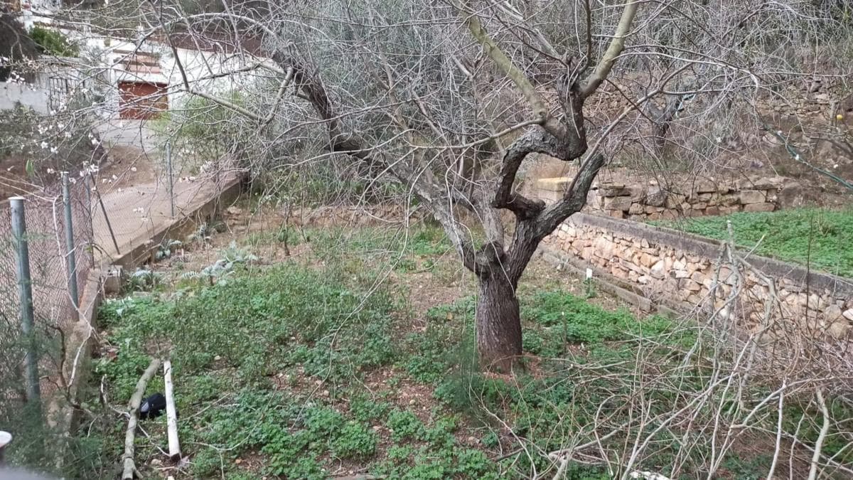 Terreno en venta en Gilet, Valencia photo 2